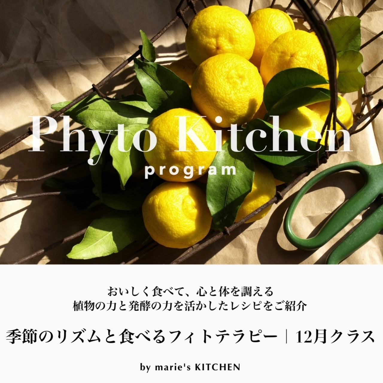 Phyto Kitchen Program｜季節のリズムと食べるフィトテラピー[12月]
