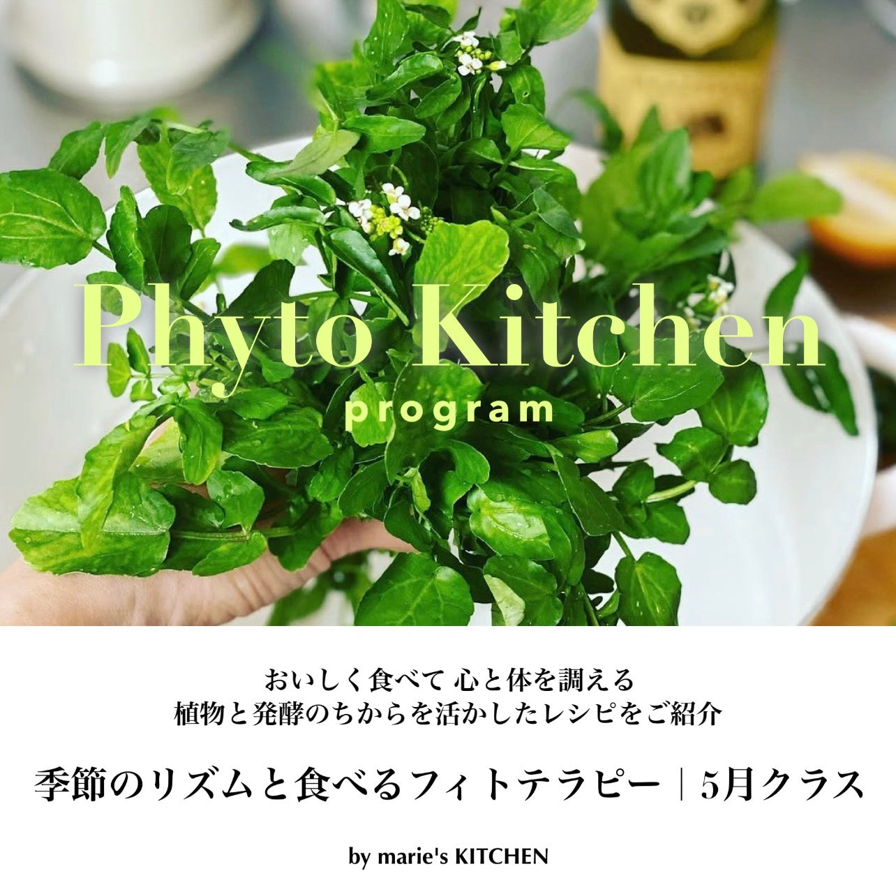 Phyto Kitchen Program｜季節のリズムと食べるフィトテラピー[5月]