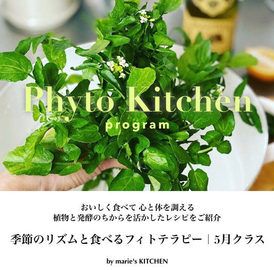 Phyto Kitchen Program｜季節のリズムと食べるフィトテラピー[5月]