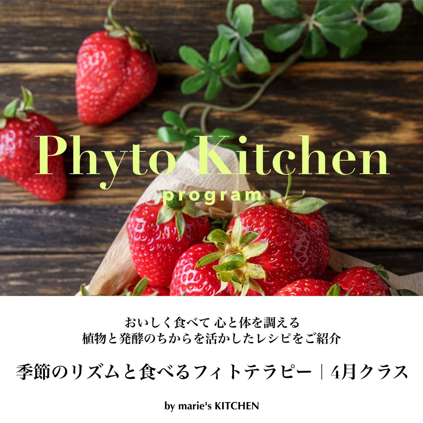 Phyto Kitchen Program｜季節のリズムと食べるフィトテラピー[4月]