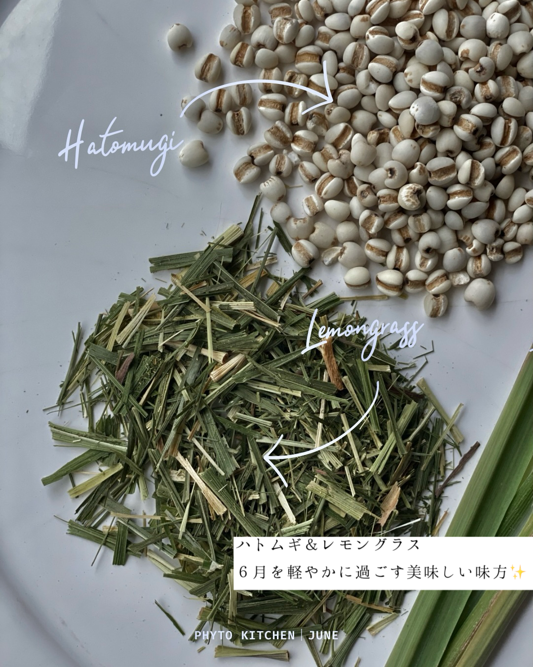 Phyto Kitchen Program｜6月の食べるフィトテラピー